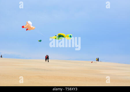 Aquiloni volare alto al di sopra del Jockey Ridge in una giornata di vento presso l'Outer Banks. Il Jockey Ridge in Nag la testa NC è la più grande duna di sabbia sulla costa est Foto Stock