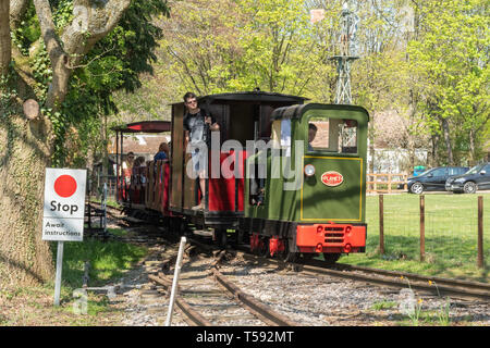 In treno sul vecchio forno Light Railway, una ferrovia a scartamento ridotto alla vita rurale centro, Tilford, Surrey, Regno Unito Foto Stock