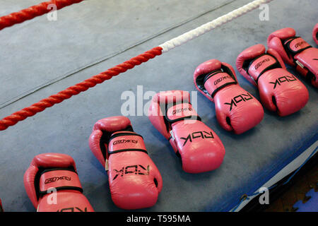 Pink guantoni da pugilato. Volte ABC Boxing Club. Islington, Londra. 27/08/2009 Foto Stock