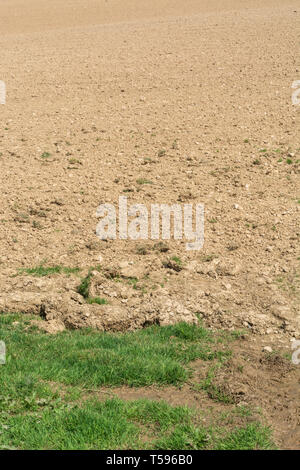 Campo in Cornovaglia, Regno Unito, con terreno coltivato a paglia dopo un periodo di poca pioggia. In caso di mancanza d'acqua, tempo secco. Suolo di tessitura dissodata, terra parched. Foto Stock