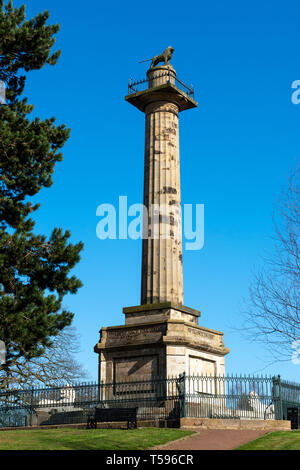 Colonna dell'inquilino e Percy Lion a Alnwick in Northumberland, England, Regno Unito Foto Stock