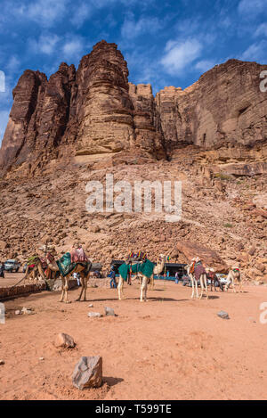Cammelli accanto a Lawrence molla nel Wadi Rum valle chiamato anche Valle della Luna in Giordania Foto Stock