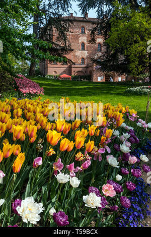 Ogni anno nel mese di aprile la mostra Messer Tulipano (Sig. Tulip) avviene presso il castello di Pralormo vicino a Torino, Italia Foto Stock