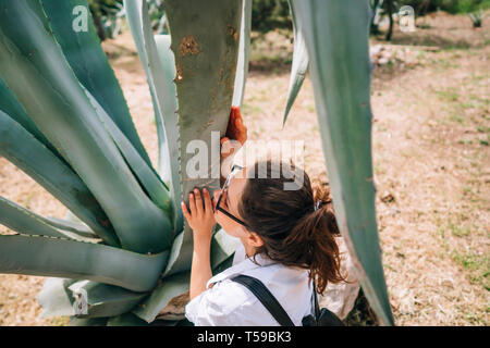 Vista posteriore di felice bella ragazza in posa a big Aloe foglie Foto Stock