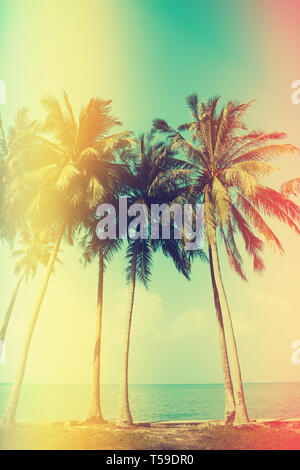 Palme sulla spiaggia con vecchi film perdite della luce, vintage stilizzato di colore Foto Stock