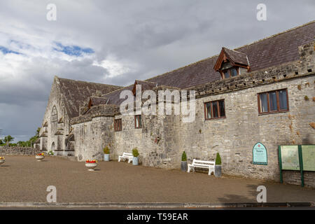 Santa Croce Chiesa Abbaziale di Santa Croce, nella contea di Tipperary, Repubblica di Irlanda. Foto Stock