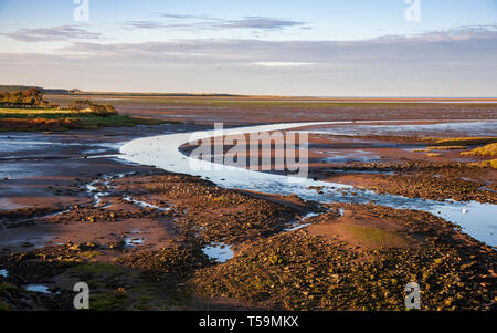 Acqua di Budle a bassa marea da Warren Mill con il castello di Lindisfarne in lontananza, Northumberland, Inghilterra Foto Stock