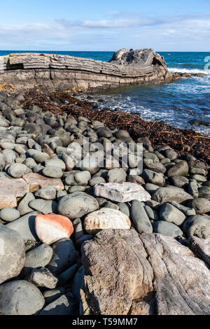 Roccia Graymare ripiegata di roccia calcarea sulla formazione di Embleton Bay Foto Stock