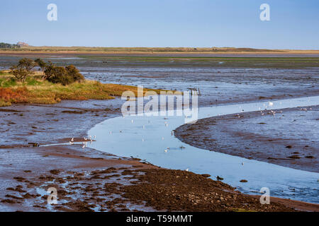 Acqua di Budle a bassa marea da Warren Mill con il castello di Lindisfarne in lontananza, Northumberland, Inghilterra Foto Stock