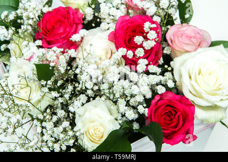 Il Bel Rose disposti in una scatola regalo bianca isolata su uno sfondo bianco. Molto bella e romantica lookof fioriture. Foto Stock