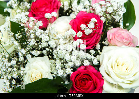 Il Bel Rose disposti in una scatola regalo bianca isolata su uno sfondo bianco. Molto bella e romantica lookof fioriture. Foto Stock