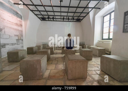 Jerusael, Israele. Una ragazza nel film sala del Museo della Metropolitana ebraica, dedicato agli ebrei che hanno combattuto per l'indipendenza di Israele. Foto Stock