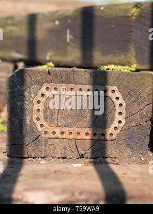 Close-up di un vecchio blocco di legno con un pezzo di piastra in ferro con fori attaccato sulla superficie. Foto Stock