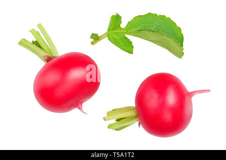 Fresco di ravanello intero isolato su sfondo bianco. Vista superiore Foto Stock