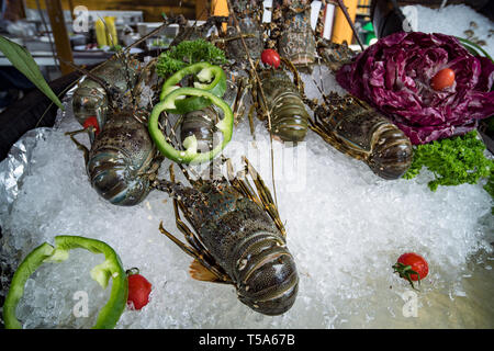 Le aragoste fresche su ghiaccio. Cucina di strada in Asia le aragoste close-up Foto Stock