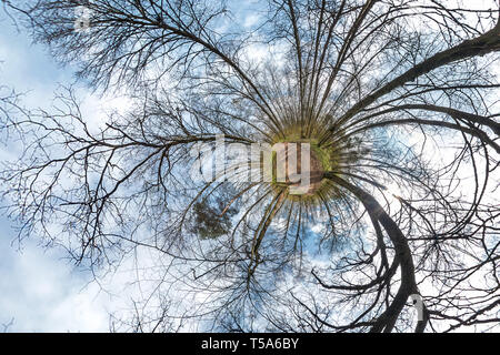 Piccolo pianeta sferiche di panorama a 360 gradi. Antenna sferica vista nella foresta in buona giornata. La curvatura dello spazio Foto Stock