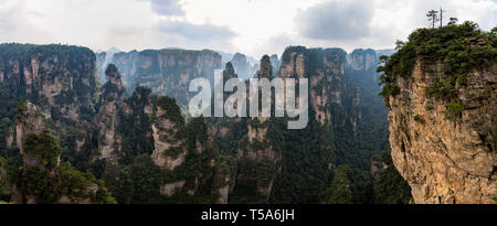 Vista panoramica dalla Mi Hun Piattaforma in area Yuanjiajie in Wulingyuan National Park, Zhangjiajie, Hunan, Cina. Wulingyuan parco nazionale era in Foto Stock