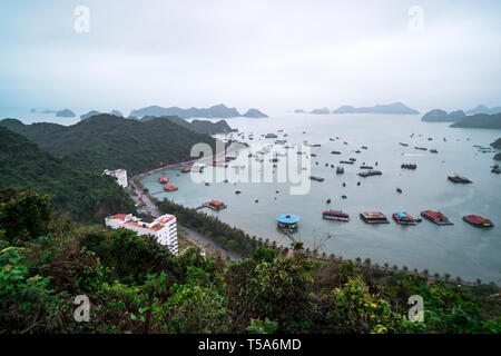 Cat Ba island da sopra. Lan Baia di Ha nella nebbia. tonificante. Hai Phong, Vietnam Foto Stock