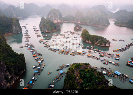 Vista aerea di villaggi galleggianti intorno a Cat Ba isole. Cat Ba è la più grande delle 366 isole che compongono il bordo del sud-est della Baia di Ha Long ho Foto Stock