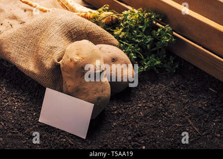 Agricoltura biologica di prezzemolo e patate con business card mock up caserecci vegetali di produzione alimentare Foto Stock