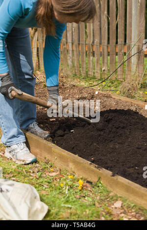 Sammamish, Washington, Stati Uniti d'America. Donna diffusione compost nel suo piccolo orto. (MR) (PR) Foto Stock