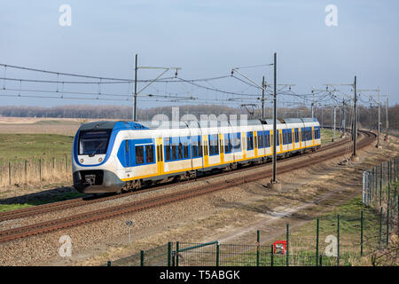 Stazione ferroviaria olandese attraverso il Parco Nazionale di Oostvaardersplassen vicino Almere e Lelystad Foto Stock