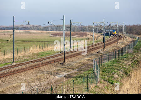 Stazione ferroviaria olandese attraverso il Parco Nazionale di Oostvaardersplassen vicino Almere e Lelystad Foto Stock