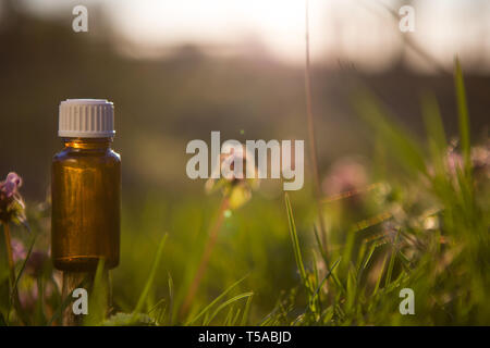 La medicina di erbe o di aromaterapia. Oli essenziali e fiori di medicina di erbe aromatiche. Foto Stock