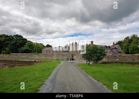 Ingresso al castello Ward in Irlanda del Nord Foto Stock