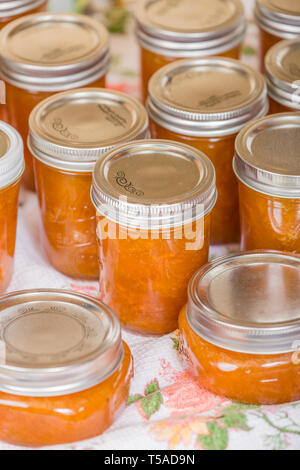 Vasi di fresca di marmellata di albicocche fatta in casa il raffreddamento su un canovaccio senza toccare o spostando in un progetto-posto libero. Foto Stock