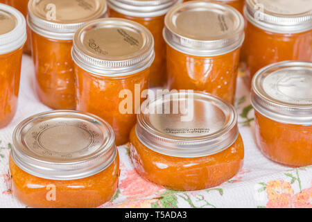 Vasi di fresca di marmellata di albicocche fatta in casa il raffreddamento su un canovaccio senza toccare o spostando in un progetto-posto libero. Foto Stock