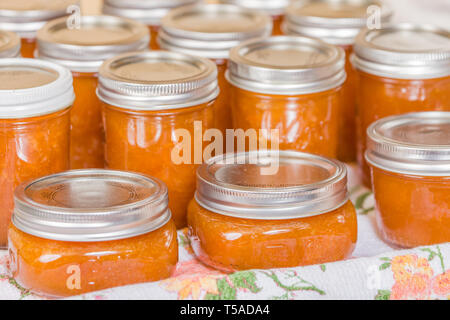 Vasi di fresca di marmellata di albicocche fatta in casa il raffreddamento su un canovaccio senza toccare o spostando in un progetto-posto libero. Foto Stock