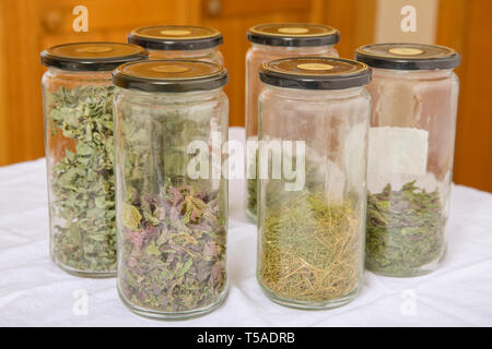 Vasi di home-menta piperita essiccata, origano e aneto in bottiglie sigillate per lo storage. Foto Stock