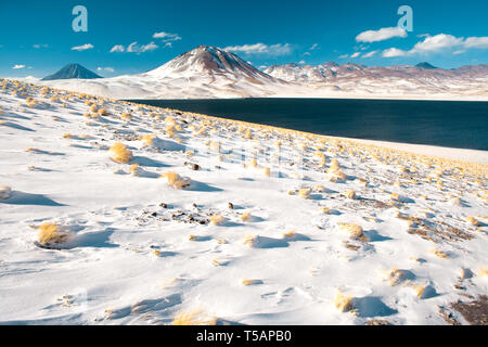 Laguna Miscanti (Laguna Miscanti) e Cerro Miscanti (Miscanti hill) nel Altiplano (alto altopiano andino) a un'altitudine di 4350m, los Flamencos Nat Foto Stock