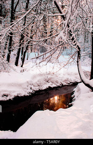 Bella realistico inverno paesaggio di natale nella foresta sul con cielo blu, alberi coperti di brina spessa, una calma inverno piccolo fiume con reflecti Foto Stock