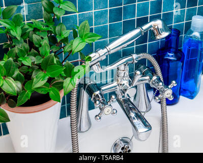 Close-up di cromati rubinetti miscelatori e doccetta in una verde-blu del bagno rivestito di piastrelle con un impianto di fogliame e bottiglie di colore blu Foto Stock