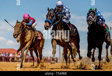 Charles Town, West Virginia, USA. Xx Apr, 2019. Luis Batista, a bordo vincitore Vic's Pick n. 2, parla smack con runner fino rider Oscar Flores a bordo migliori dopo aver vinto il Coin Collector picchetti su Charles Town Classic giorno a Charles Town gare e slot in Charles Town, West Virginia. Credito: csm/Alamy Live News Foto Stock