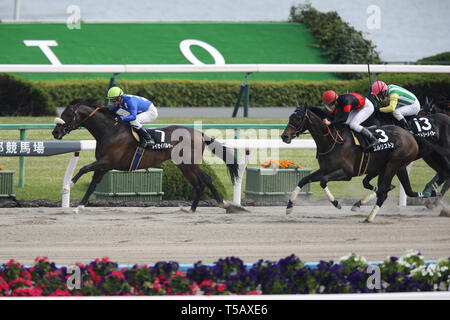 (L-R) Taisei Pulsar (Yusuke Fujioka), El Liston (Kohei Matsuyama), Storia Maker (Shogo Hatabata), 21 aprile 2019 - Horse Racing : Taisei Pulsar cavalcato da Yusuke Fujioka vince il Protocollo di Kyoto in 10R Momoyama picchetti a Kyoto Racecourse a Kyoto, in Giappone. Credito: Eiichi Yamane/AFLO/Alamy Live News Foto Stock