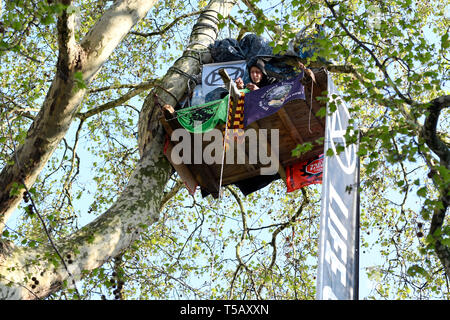 Un attivista è visto campeggio su un albero a Marble Arch durante la protesta. Il cambiamento climatico attivisti dalla ribellione di estinzione si accamparono a Marble Arch, in centro a Londra dove tutte le loro attività come la musica, illustrazioni e le classi sono in atto da, dopo gli ufficiali di polizia siti cancellati presso la Oxford Circus, Waterloo Bridge e Piazza del Parlamento dalla ribellione di estinzione contestatori. Estinzione della ribellione esige il governo per azioni dirette sul clima e di ridurre a zero le emissioni di carbonio nel 2025 e anche l'assemblea popolare. Foto Stock