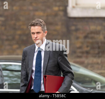 Londra, Regno Unito. 23 apr, 2019. Gavin Williamson, MP PC, ex segretario alla difesa, arriva in una riunione del gabinetto a 10 Downing Street, Londra Credito: Ian Davidson/Alamy Live News Foto Stock