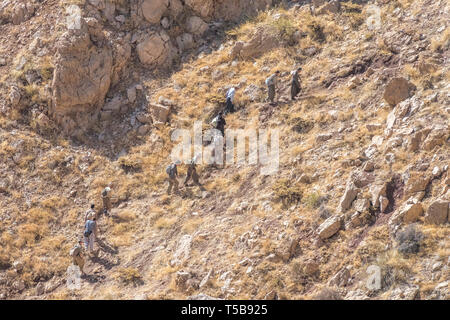 Corrieri piedi dal Byara, Iraq, per trasportare le merci di contrabbando in Iran, Kermanshah Provincia, Iran Foto Stock