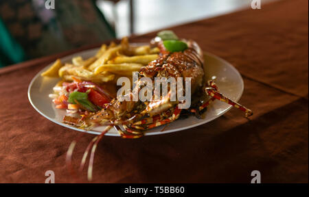 Grande aragosta con patate e insalata su una piastra Foto Stock