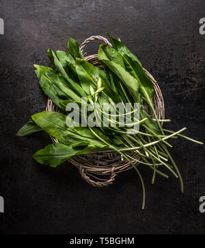 Grappolo di ramson freschi, aglio selvatico, foglie scure su sfondo rustico, vista dall'alto. Molla di sana cucina di stagione Foto Stock