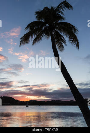 Il sole tramonta sul mare dietro a un albero di palma in Antigua Foto Stock