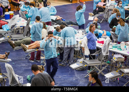 Stan Brock e la zona remota Medical trattare circa 1000 pazienti durante una 2 giorni di sessione in Atene Foto Stock
