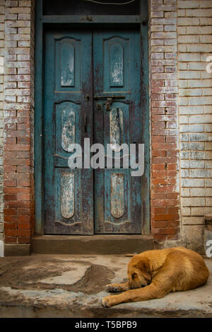 Stray dog di fronte a un vecchio blu porta durante un mattino nuvoloso al centro storico di Bhaktapur, Nepal Foto Stock