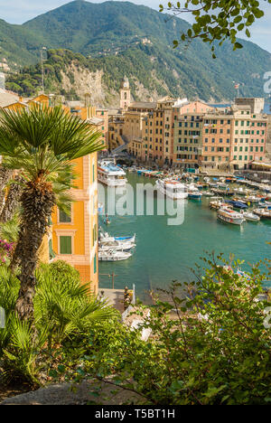 Porto di pesca di Camogli in Liguria, a nord-ovest Italia Foto Stock