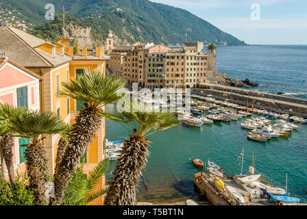 Porto di pesca di Camogli in Liguria, a nord-ovest Italia Foto Stock