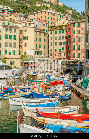 Porto di pesca di Camogli in Liguria, a nord-ovest Italia Foto Stock