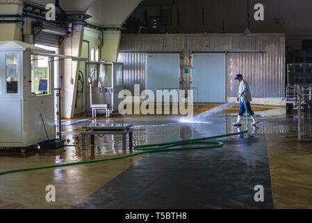 Asta del pesce hall di Sesimbra Porto, Portogallo Foto Stock